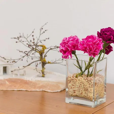 Feel Phili Appartement